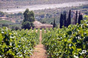 achaia (5)