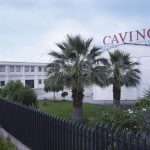cavino (2)