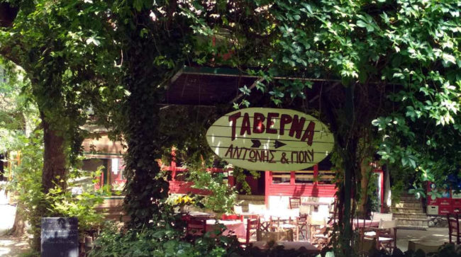 antonis poly zaxlorou