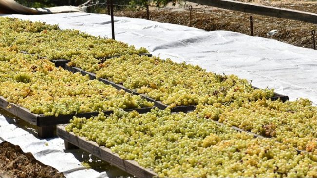 ape-oinoxeneia-header